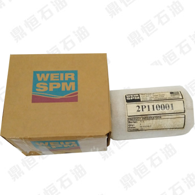 SPM�N�S�~��2P110001