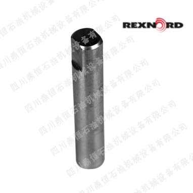 Rexnord�{���U10309104